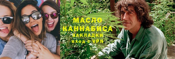 шишки Белокуриха
