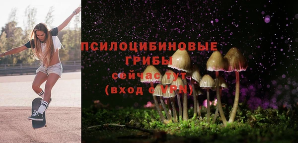 Альфа ПВП Богданович