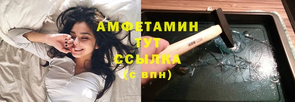 шишки Белокуриха