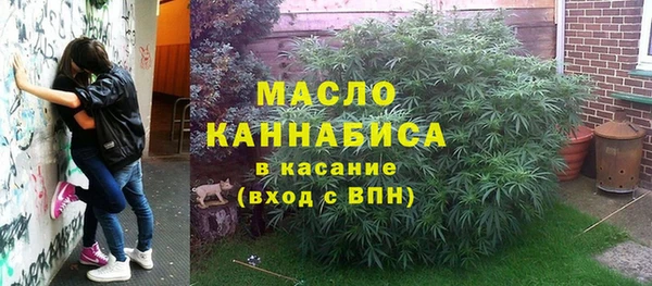 молекула духа Богородск
