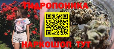 молекула духа Комсомольск-на-Амуре